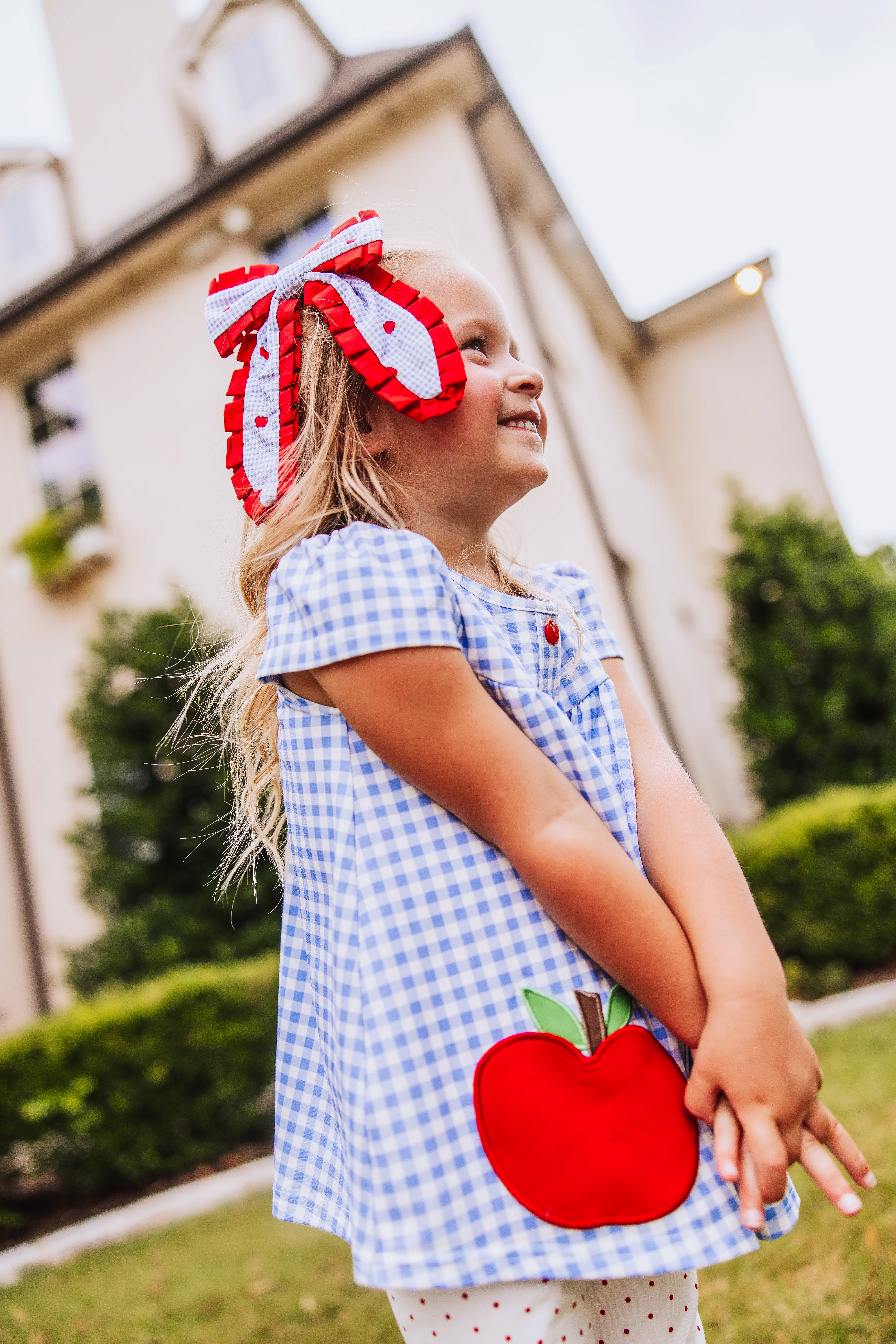 Out to Play Set - Blue Gingham Apple - Image 7